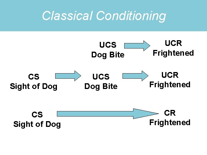 Classical Conditioning UCS Dog Bite CS Sight of Dog UCS Dog Bite UCR Frightened