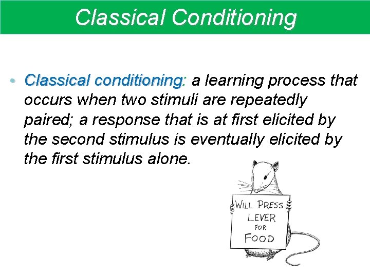Classical Conditioning • Classical conditioning: a learning process that : occurs when two stimuli