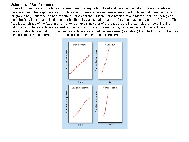 Schedules of Reinforcement These four graphs show the typical pattern of responding for both