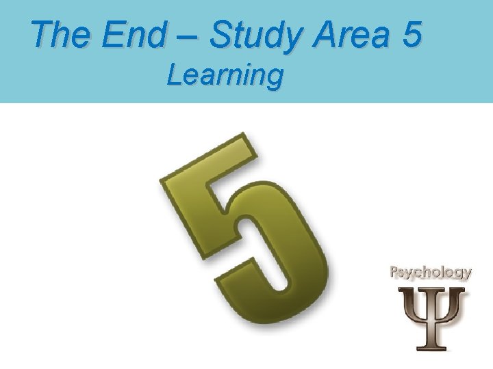 The End – Study Area 5 Learning 