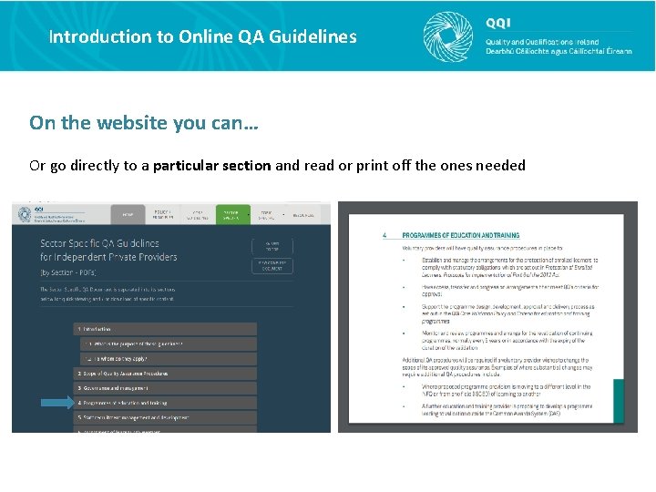 Introduction to the QQI Quality Assurance Guidelines Website