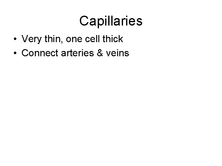 Capillaries • Very thin, one cell thick • Connect arteries & veins 