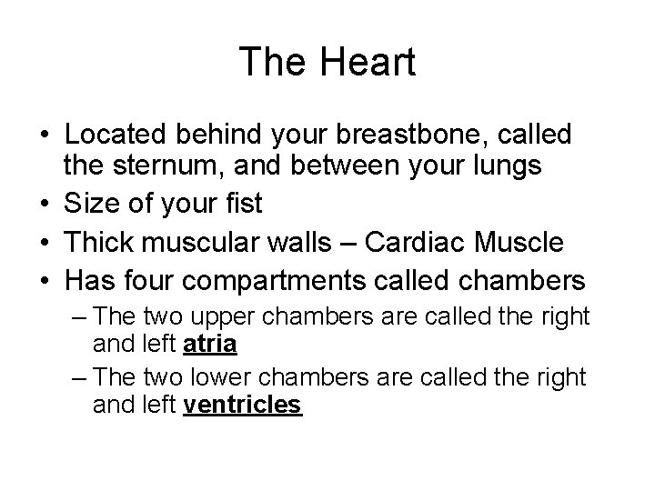 The Heart • Located behind your breastbone, called the sternum, and between your lungs