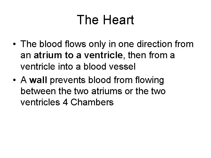 The Heart • The blood flows only in one direction from an atrium to