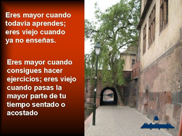 Eres mayor cuando todavía aprendes; eres viejo cuando ya no enseñas. Eres mayor cuando