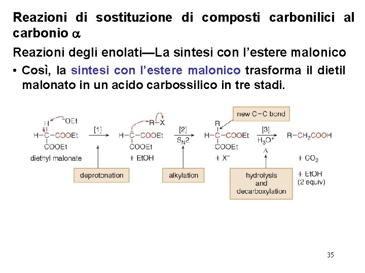 Reazioni di sostituzione di composti carbonilici al carbonio Reazioni degli enolati—La sintesi con l’estere