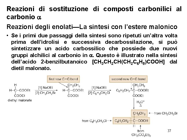 Reazioni di sostituzione di composti carbonilici al carbonio Reazioni degli enolati—La sintesi con l’estere