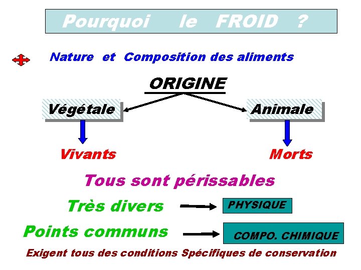 Pourquoi le FROID ? Nature et Composition des aliments ORIGINE Végétale Animale Vivants Morts