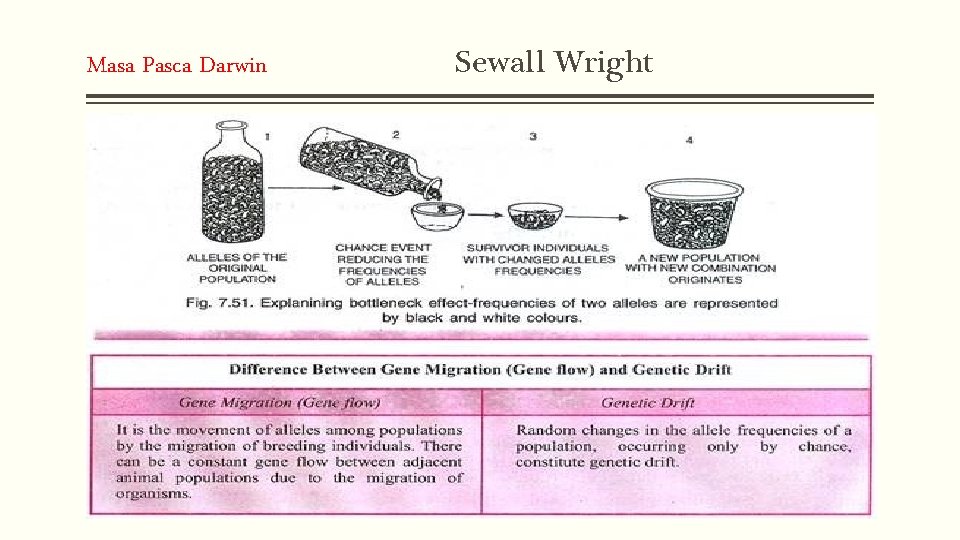 Masa Pasca Darwin Sewall Wright 