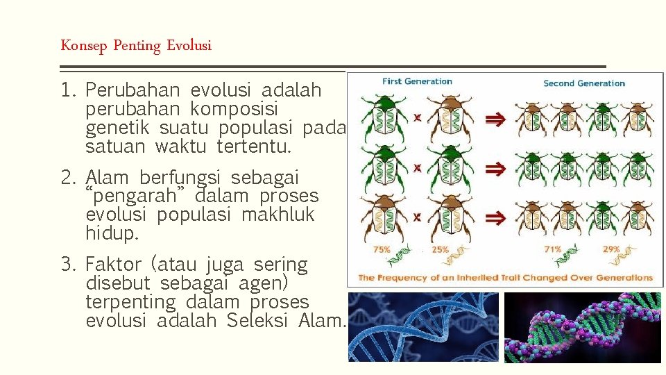 Konsep Penting Evolusi 1. Perubahan evolusi adalah perubahan komposisi genetik suatu populasi pada satuan