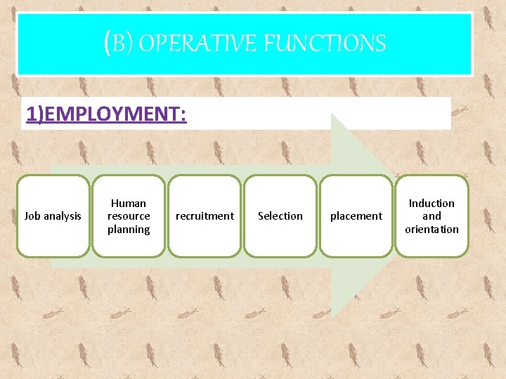 (B) OPERATIVE FUNCTIONS 1)EMPLOYMENT: Job analysis Human resource planning recruitment Selection placement Induction and