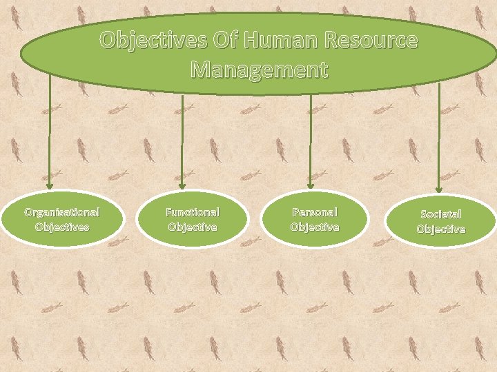 Objectives Of Human Resource Management Organisational Objectives Functional Objective Personal Objective Societal Objective 