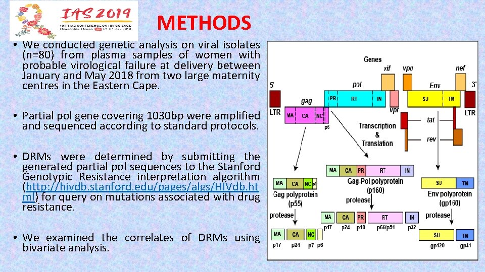 METHODS • We conducted genetic analysis on viral isolates (n=80) from plasma samples of