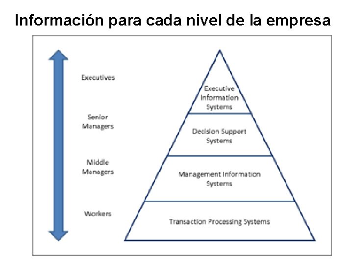 Información para cada nivel de la empresa 