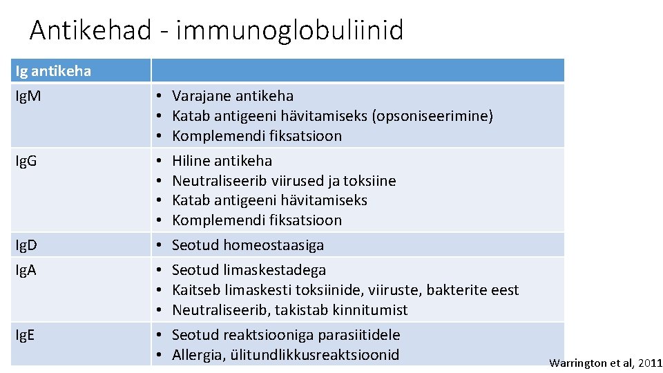 Antikehad - immunoglobuliinid Ig antikeha Ig. M Ig. G Ig. D Ig. A Ig.