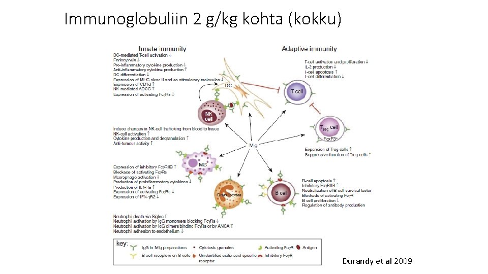 Immunoglobuliin 2 g/kg kohta (kokku) Durandy et al 2009 