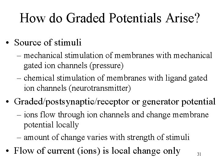 How do Graded Potentials Arise? • Source of stimuli – mechanical stimulation of membranes