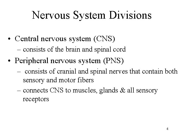 Nervous System Divisions • Central nervous system (CNS) – consists of the brain and