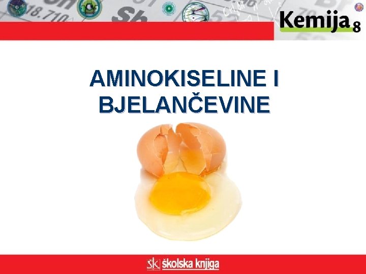 AMINOKISELINE I BJELANČEVINE 