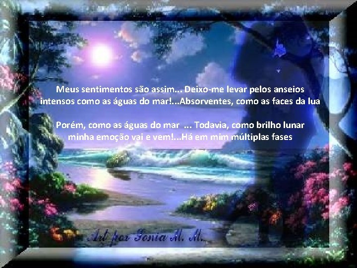 Meus sentimentos são assim. . . Deixo-me levar pelos anseios intensos como as águas