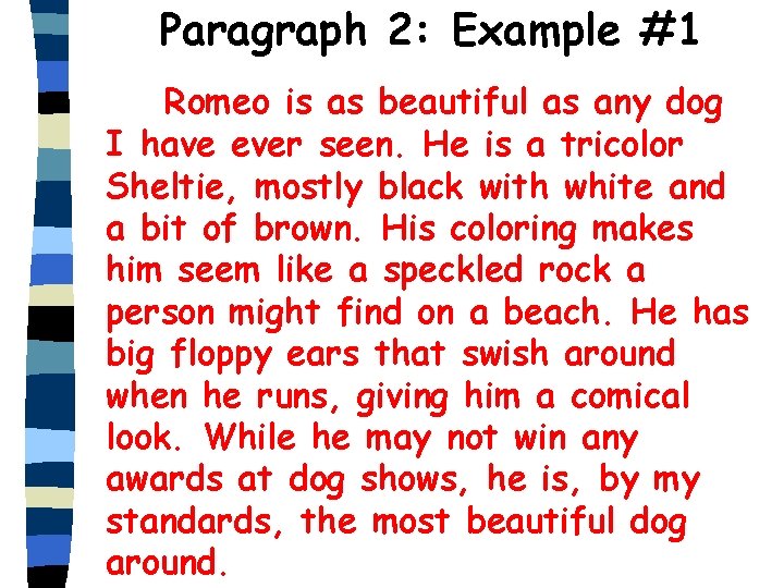Paragraph 2: Example #1 Romeo is as beautiful as any dog I have ever