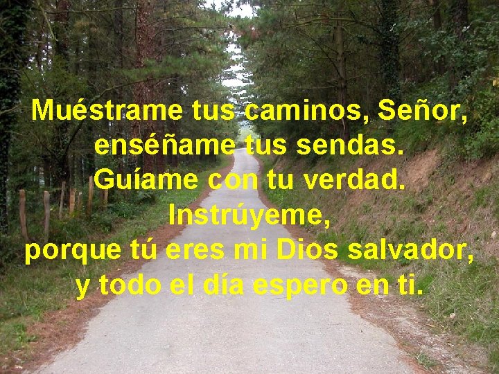 Muéstrame tus caminos, Señor, enséñame tus sendas. Guíame con tu verdad. Instrúyeme, porque tú