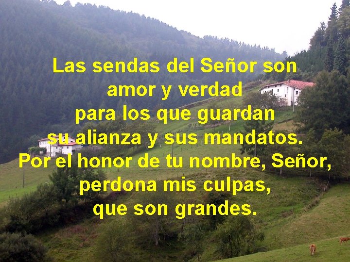 Las sendas del Señor son amor y verdad para los que guardan su alianza