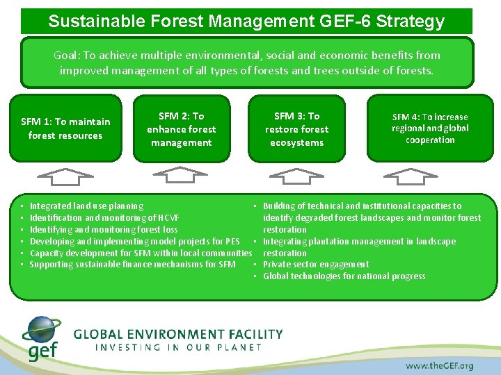 Sustainable Forest Management GEF-6 Strategy Goal: To achieve multiple environmental, social and economic benefits