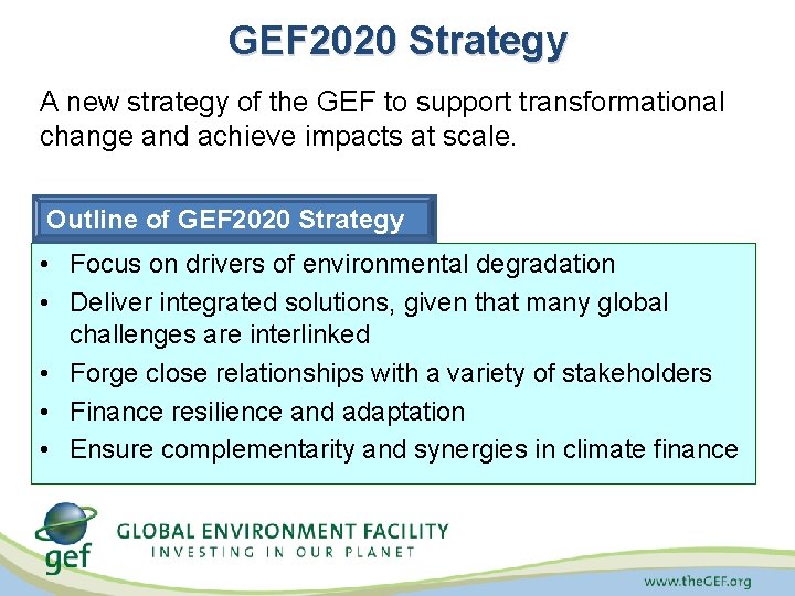 GEF 2020 Strategy A new strategy of the GEF to support transformational change and