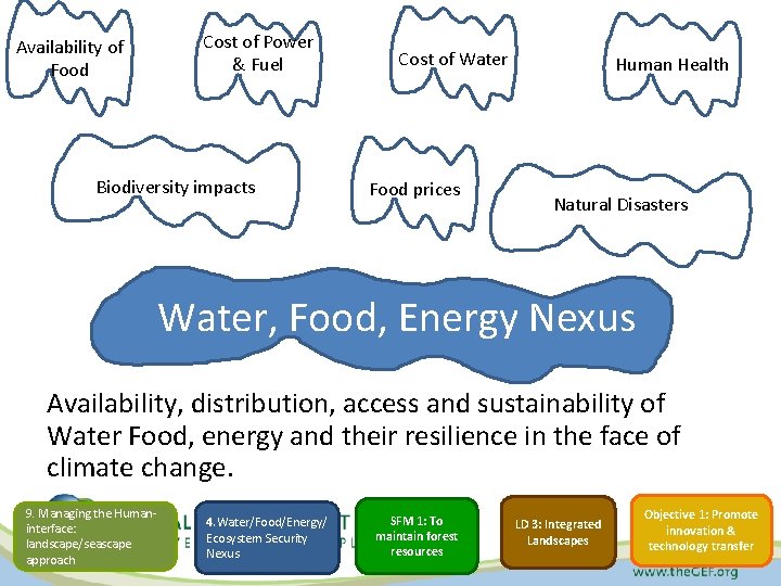 Availability of Food Cost of Power & Fuel Biodiversity impacts Cost of Water Food