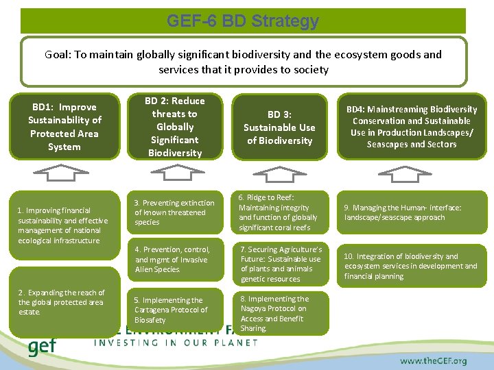 GEF-6 BD Strategy Goal: To maintain globally significant biodiversity and the ecosystem goods and
