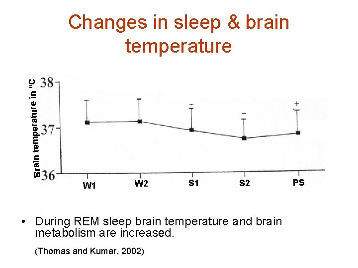 ºC Brain temperature in Changes in sleep & brain temperature W 1 W 2