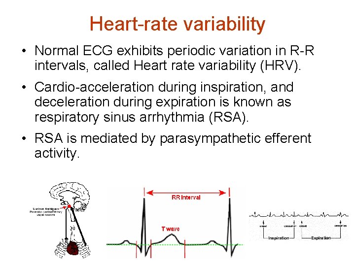 Heart-rate variability • Normal ECG exhibits periodic variation in R-R intervals, called Heart rate
