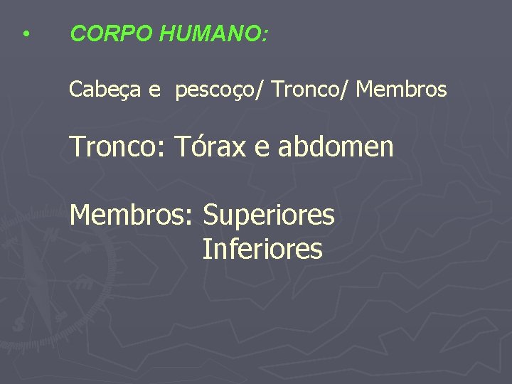  • CORPO HUMANO: Cabeça e pescoço/ Tronco/ Membros Tronco: Tórax e abdomen Membros: