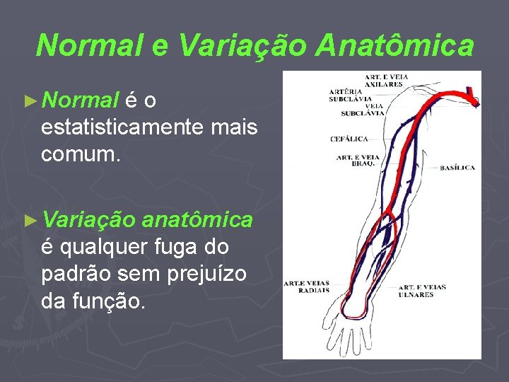 Normal e Variação Anatômica ► Normal é o estatisticamente mais comum. ► Variação anatômica