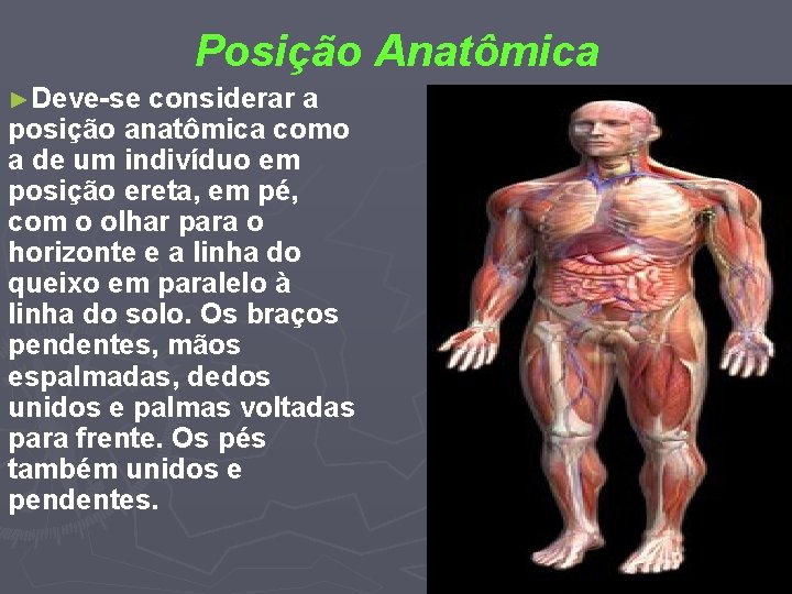 Posição Anatômica ►Deve-se considerar a posição anatômica como a de um indivíduo em posição