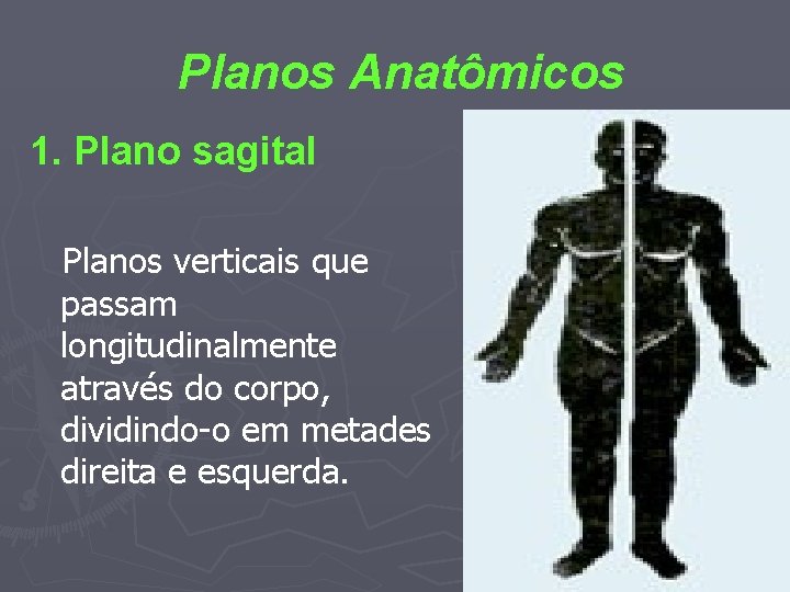 Planos Anatômicos 1. Plano sagital Planos verticais que passam longitudinalmente através do corpo, dividindo-o