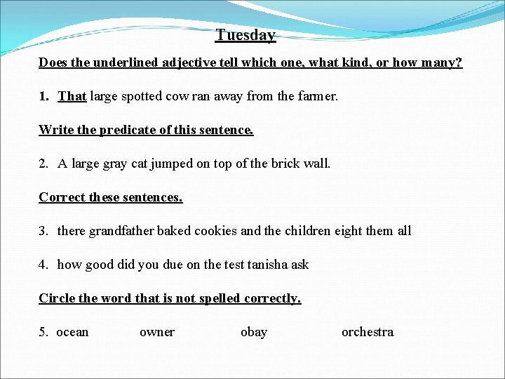 Tuesday Does the underlined adjective tell which one, what kind, or how many? 1.