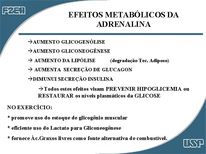 EFEITOS METABÓLICOS DA ADRENALINA AUMENTO GLICOGENÓLISE AUMENTO GLICONEOGÊNESE AUMENTO DA LIPÓLISE (degradação Tec. Adiposo) EFEITOS METABÓLICOS DA ADRENALINA AUMENTO GLICOGENÓLISE AUMENTO GLICONEOGÊNESE AUMENTO DA LIPÓLISE (degradação Tec. Adiposo)