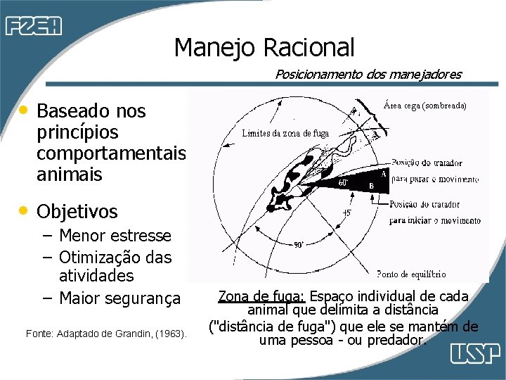 Manejo Racional Posicionamento dos manejadores • Baseado nos princípios comportamentais dos animais • Objetivos Manejo Racional Posicionamento dos manejadores • Baseado nos princípios comportamentais dos animais • Objetivos