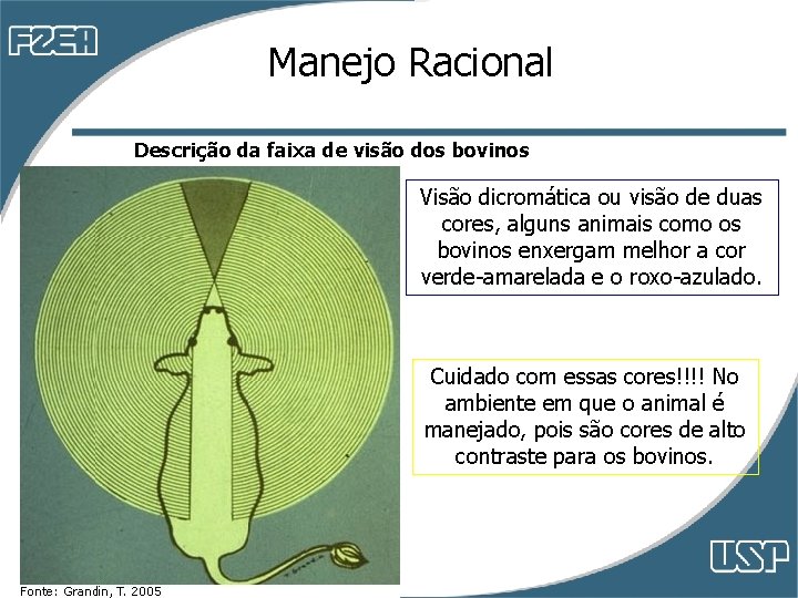 Manejo Racional Descrição da faixa de visão dos bovinos Visão dicromática ou visão de Manejo Racional Descrição da faixa de visão dos bovinos Visão dicromática ou visão de