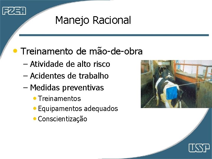 Manejo Racional • Treinamento de mão-de-obra – Atividade de alto risco – Acidentes de Manejo Racional • Treinamento de mão-de-obra – Atividade de alto risco – Acidentes de