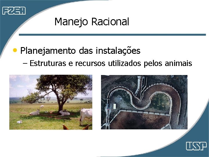 Manejo Racional • Planejamento das instalações – Estruturas e recursos utilizados pelos animais Manejo Racional • Planejamento das instalações – Estruturas e recursos utilizados pelos animais