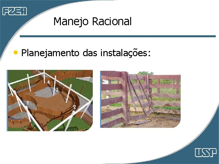 Manejo Racional • Planejamento das instalações: Manejo Racional • Planejamento das instalações: