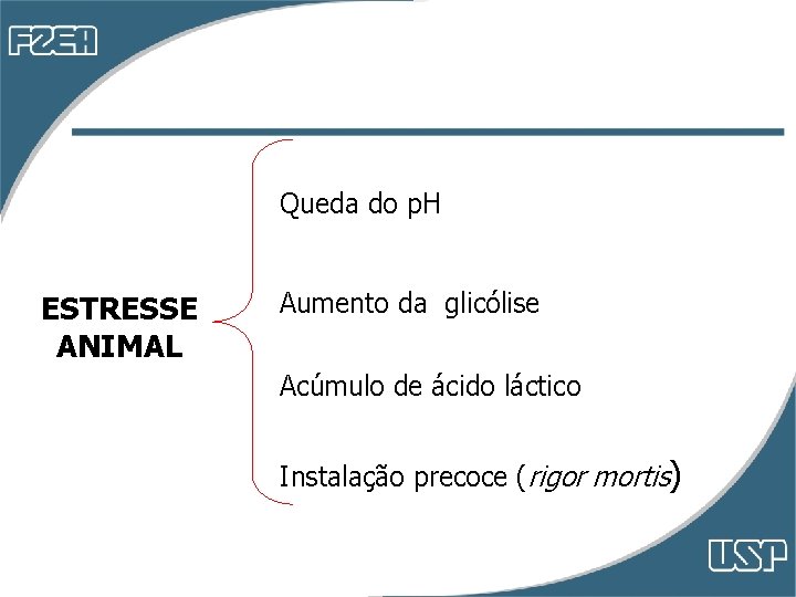 Queda do p. H ESTRESSE ANIMAL Aumento da glicólise Acúmulo de ácido láctico Instalação Queda do p. H ESTRESSE ANIMAL Aumento da glicólise Acúmulo de ácido láctico Instalação