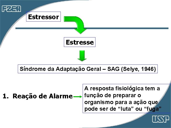 Estressor Estresse Síndrome da Adaptação Geral – SAG (Selye, 1946) 1. Reação de Alarme Estressor Estresse Síndrome da Adaptação Geral – SAG (Selye, 1946) 1. Reação de Alarme