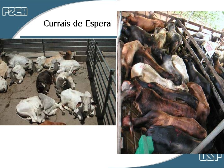 Currais de Espera Currais de Espera
