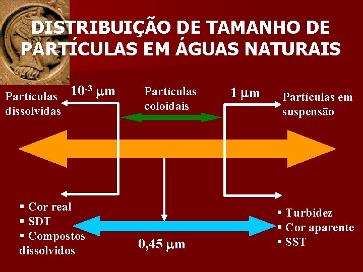 DISTRIBUIÇÃO DE TAMANHO DE PARTÍCULAS EM ÁGUAS NATURAIS -3 m 10 Partículas dissolvidas §