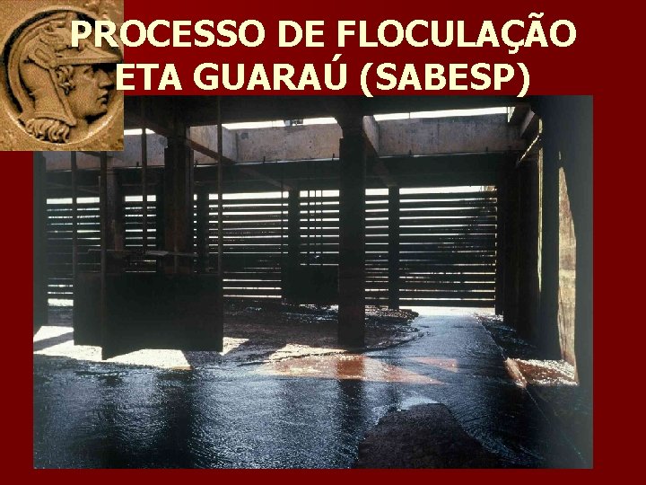 PROCESSO DE FLOCULAÇÃO ETA GUARAÚ (SABESP) 