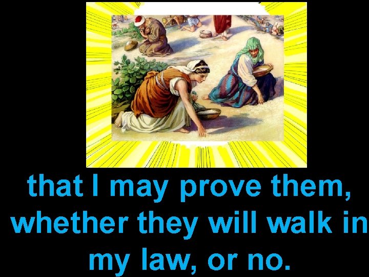 that I may prove them, whether they will walk in my law, or no.